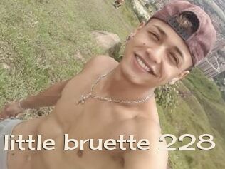 The_little_bruette_228