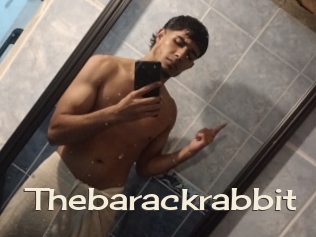 Thebarackrabbit