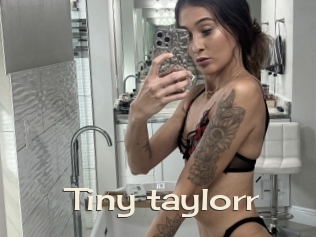 Tiny_taylorr