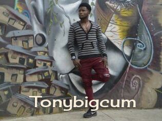 Tonybigcum