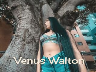 Venus_Walton