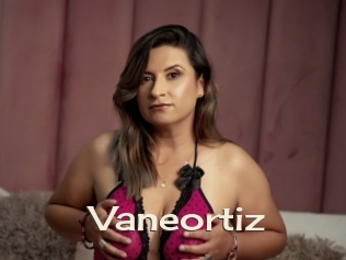 Vaneortiz