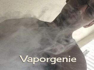 Vapor_genie