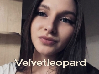 Velvetleopard