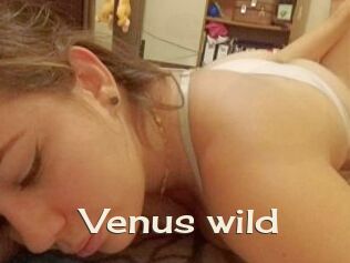Venus_wild