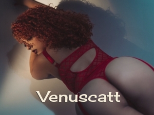 Venuscatt