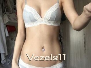 Vezels11