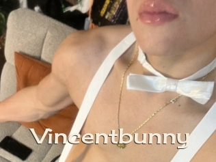 Vincentbunny
