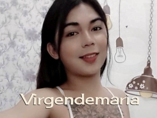 Virgendemaria