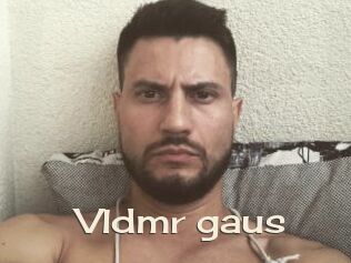 Vldmr_gaus