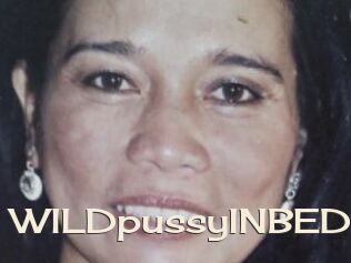 WILDpussyINBED