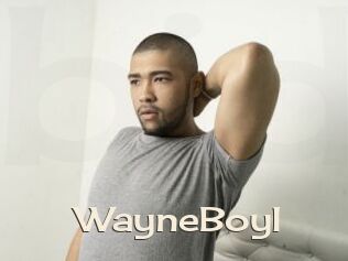 WayneBoyI