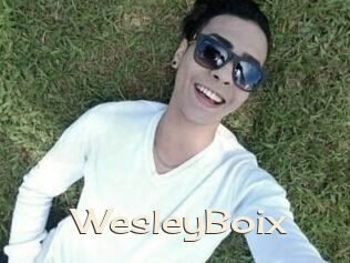 Wesley_Boix
