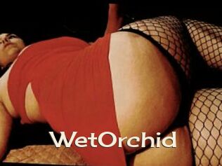 WetOrchid