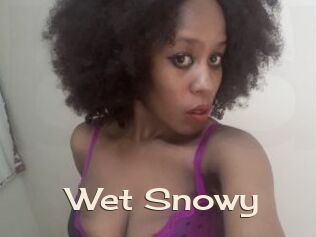 Wet_Snowy