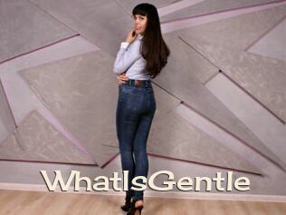 WhatIsGentle