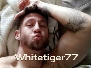 Whitetiger77