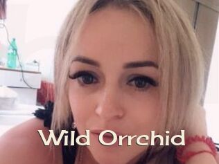 Wild_Orrchid