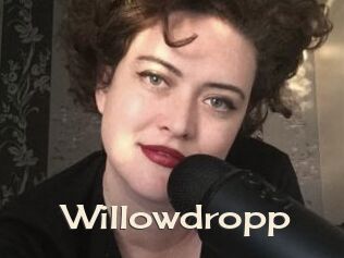 Willowdropp