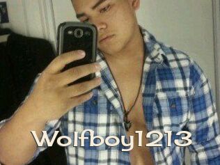 Wolfboy1213