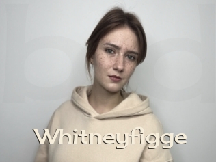 Whitneyfigge
