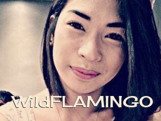 WildFLAMINGO