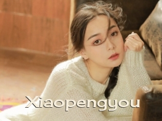 Xiaopengyou