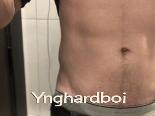 Ynghardboi