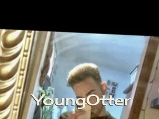 YoungOtter