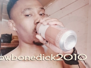 Yellowbonedick2010
