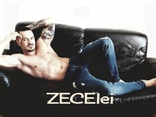 ZECElei