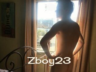 Zboy23