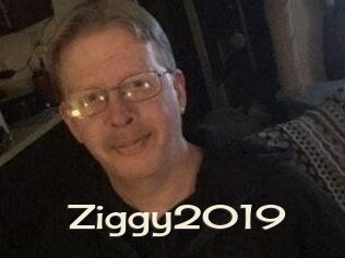 Ziggy2019