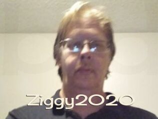 Ziggy2020