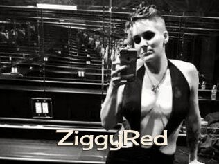 ZiggyRed
