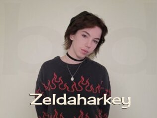 zeldaharkey Big Dicks Round Ass